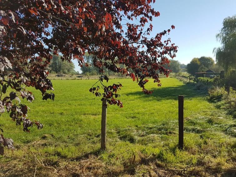 De Goeferdij Vakantiewoning Geraardsbergen Kültér fotó